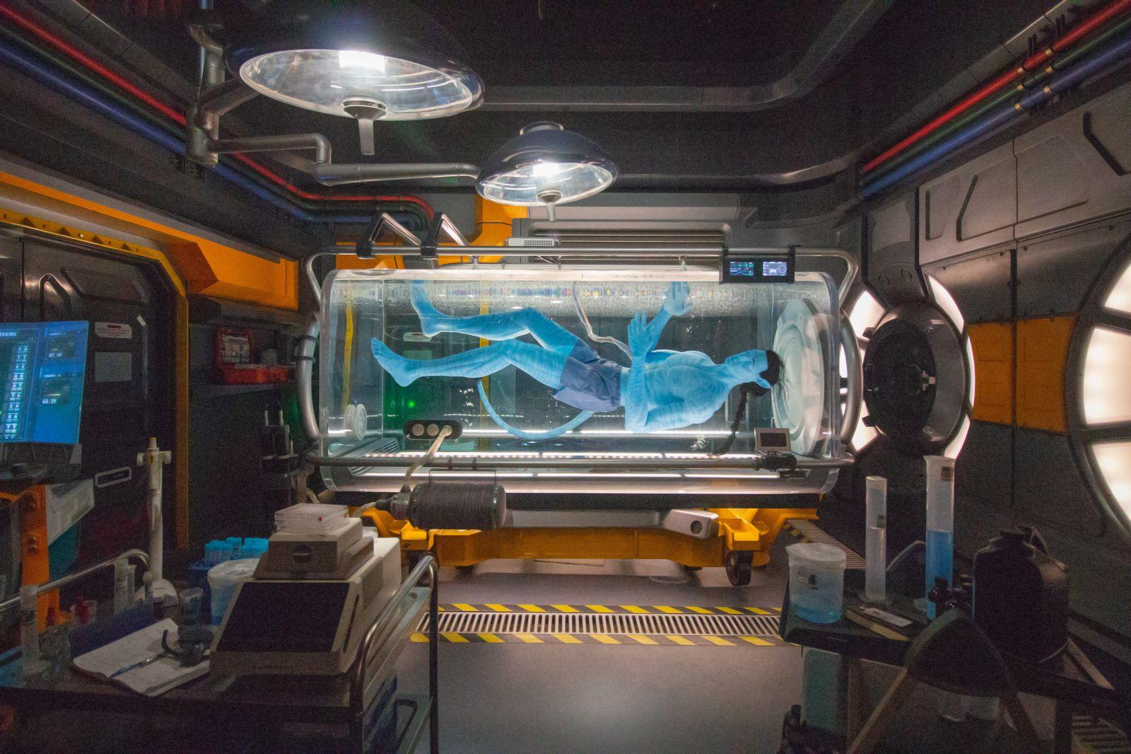 Avatar Flight of Passage