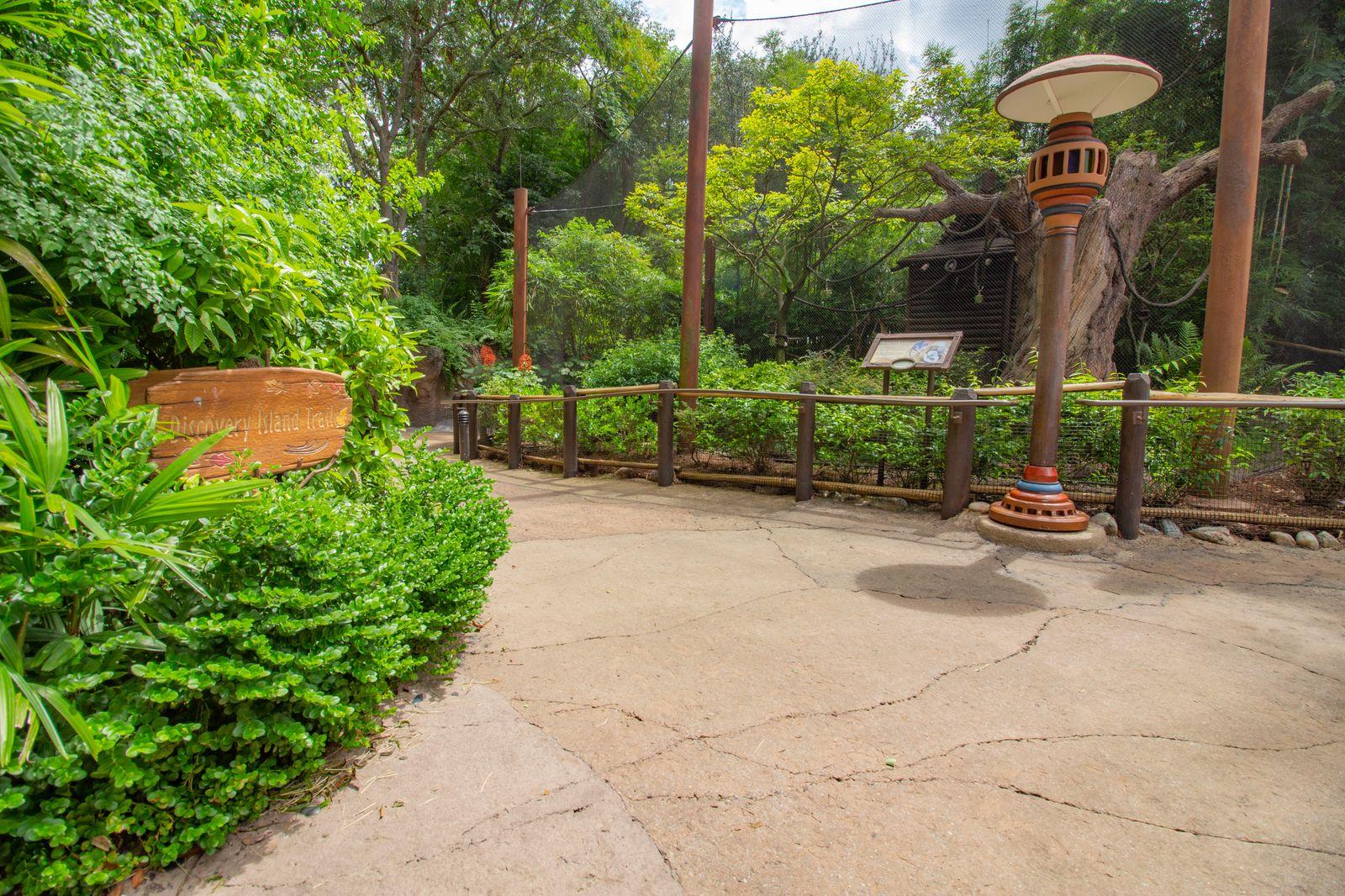 Discovery Island Trails