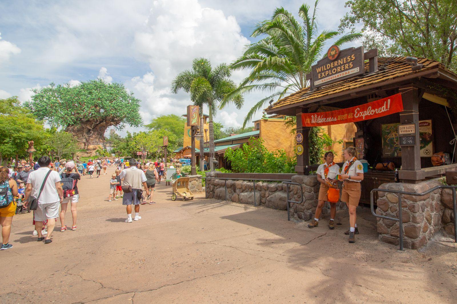 Wilderness Explorers