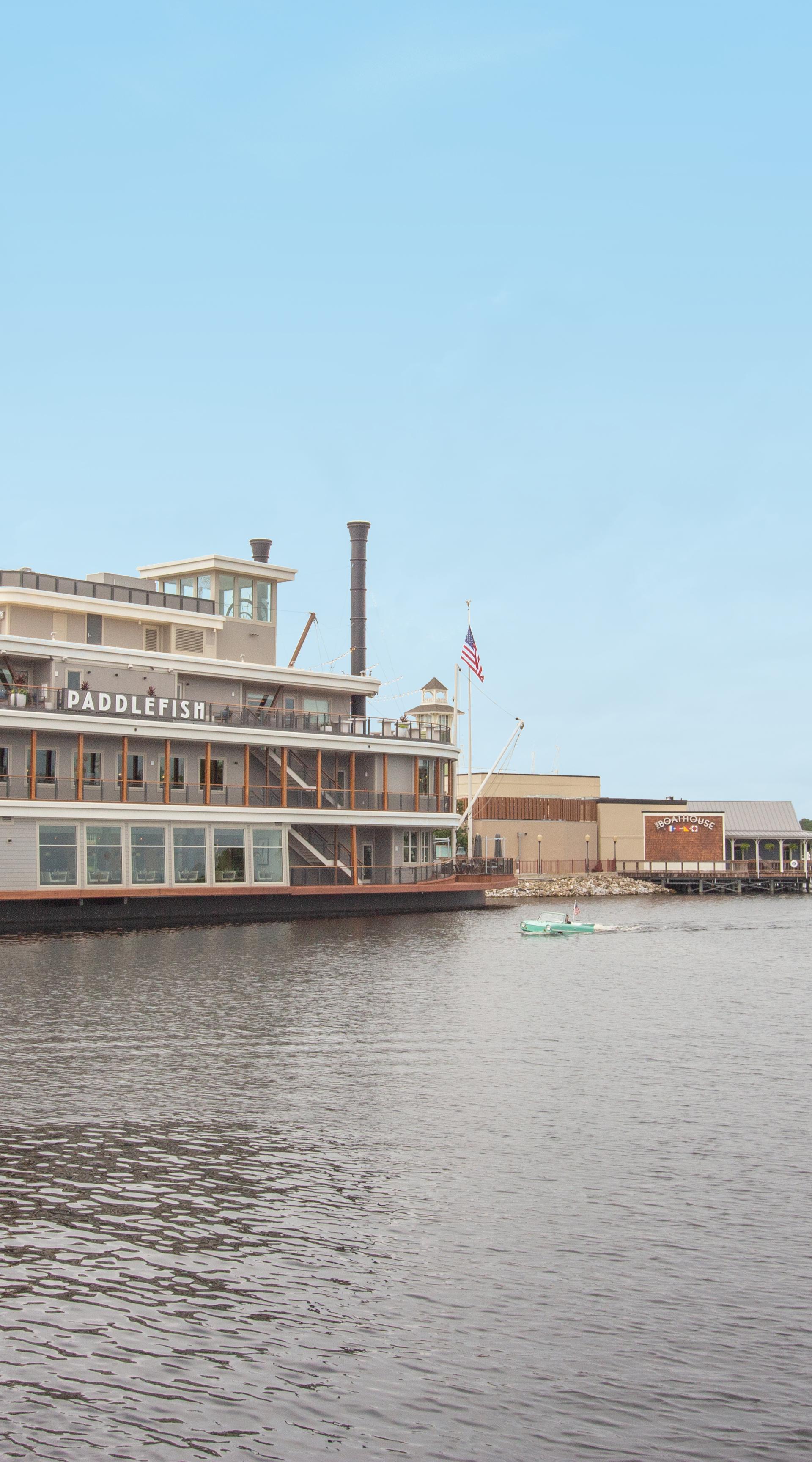 Paddlefish